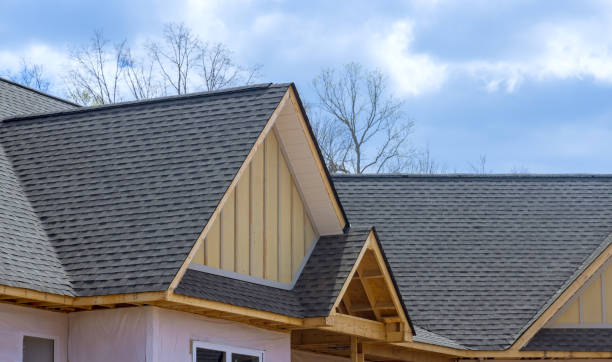 Best Roof Repair  in Albany, KY